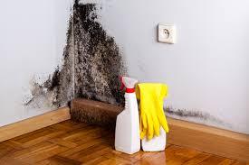 Best Real Estate Mold Inspection in USA